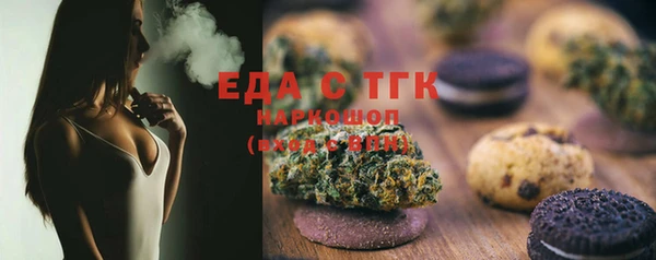 индика Балахна