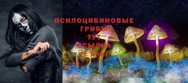 трава Армянск