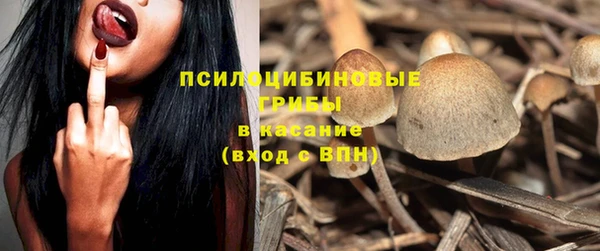 мескалин Осинники